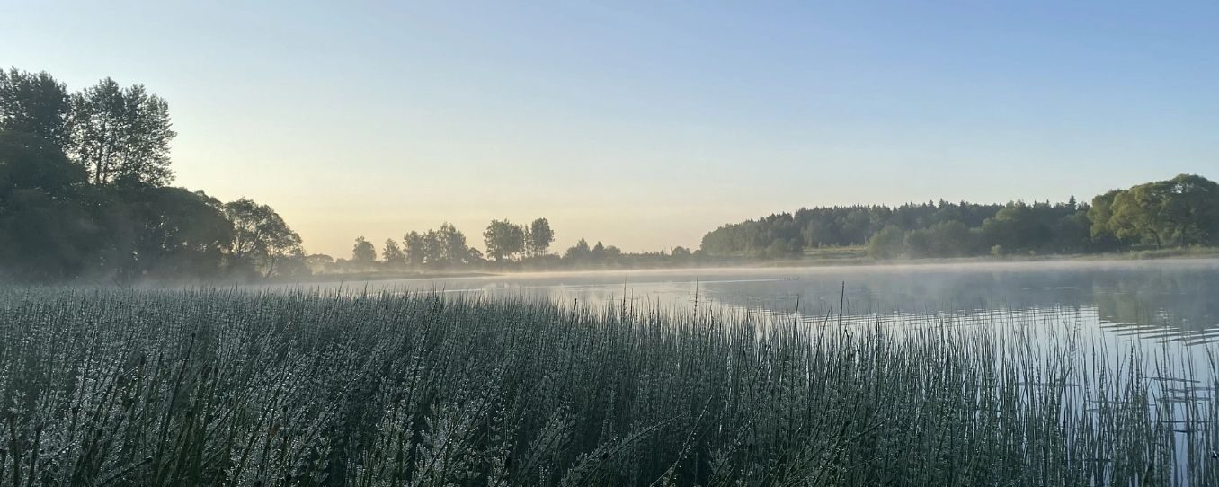 КП Таширово